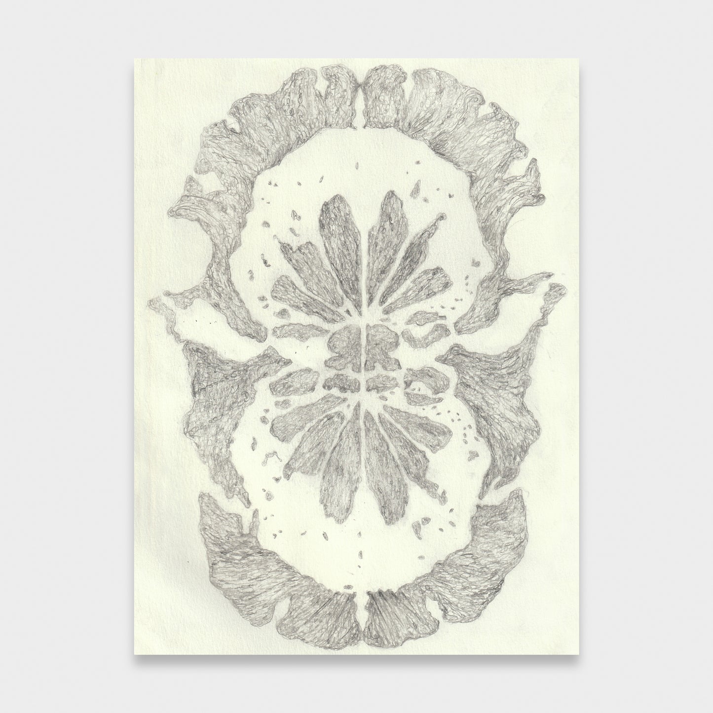 Sedona Cohen • Leaf Creature 1