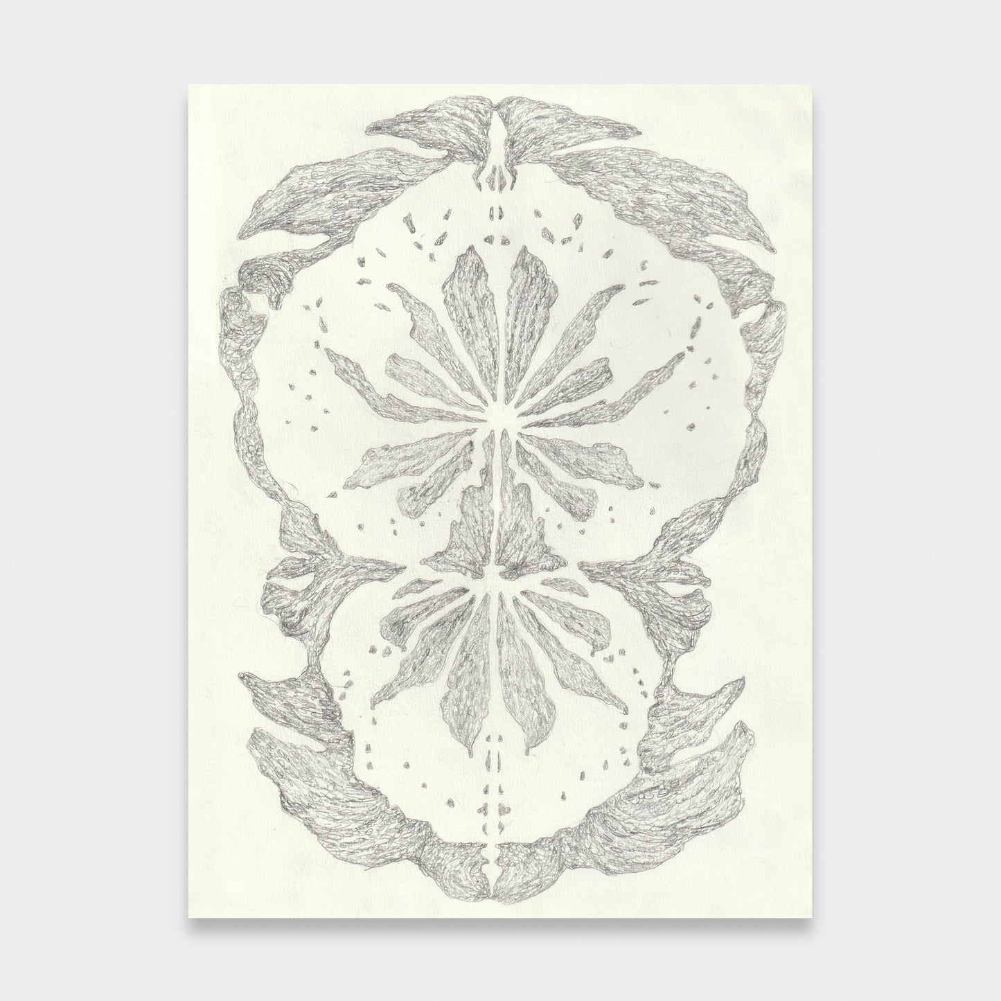 Sedona Cohen • Leaf Creature 2