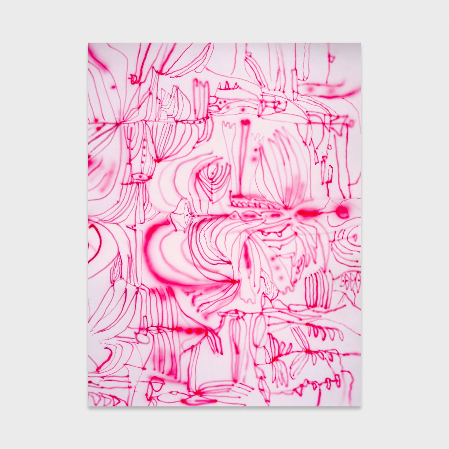 Sarah Giannobile • Ghost Orchid