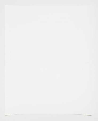 Stacey Beach • Still Life with Books and Ruth Asawa's Sunflowers