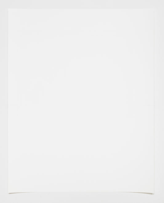 Stacey Beach • Still Life with Books and Ruth Asawa's Sunflowers