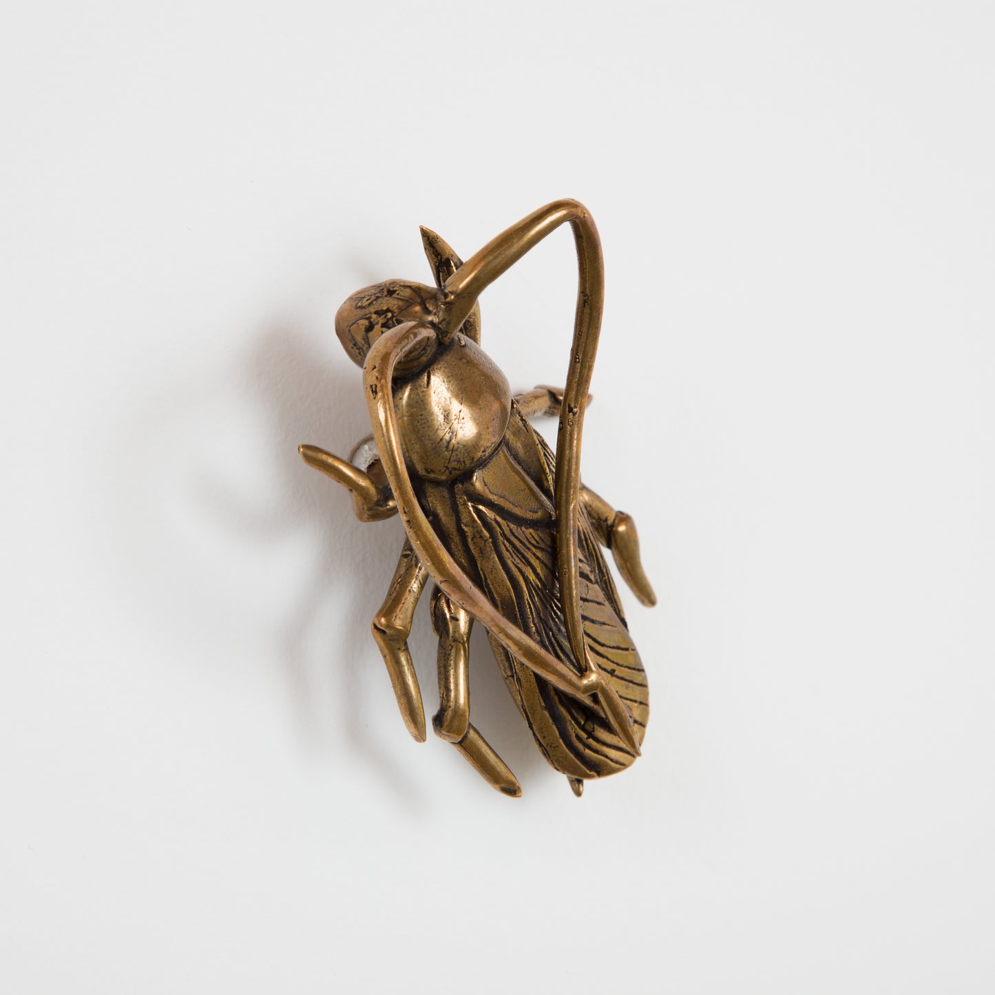 Cara Chan • Cockroach II