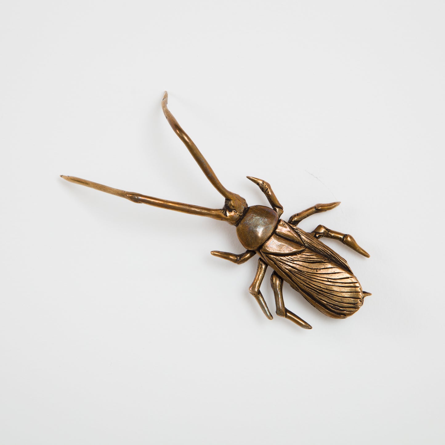 Cara Chan • Cockroach I
