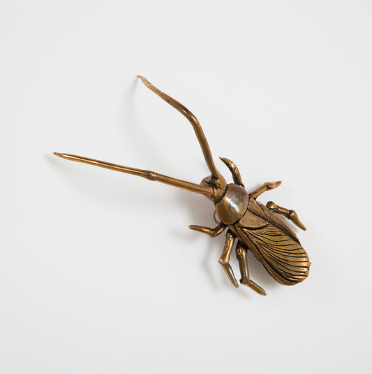 Cara Chan • Cockroach I