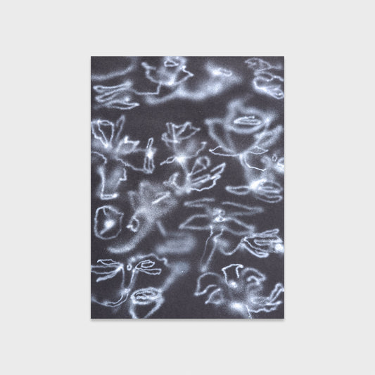 Sarah Giannobile • Ghost Orchid Black II