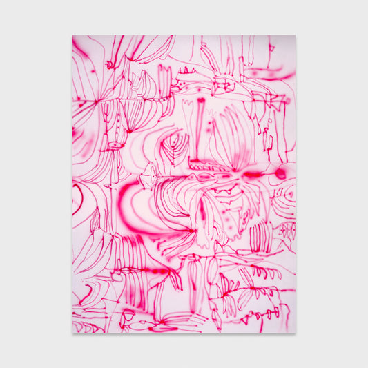 Sarah Giannobile • Ghost Orchid