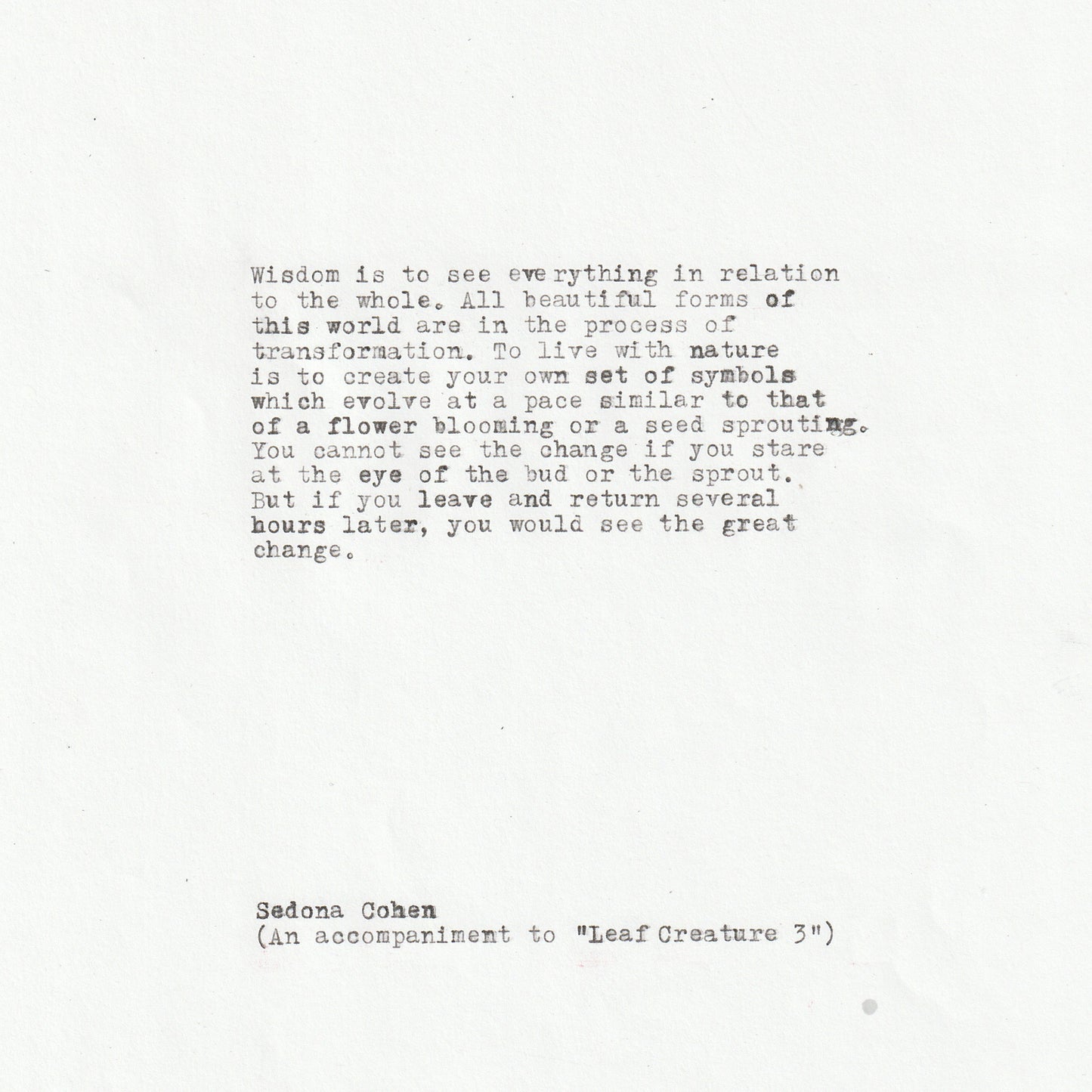 Sedona Cohen • Leaf Creature 3