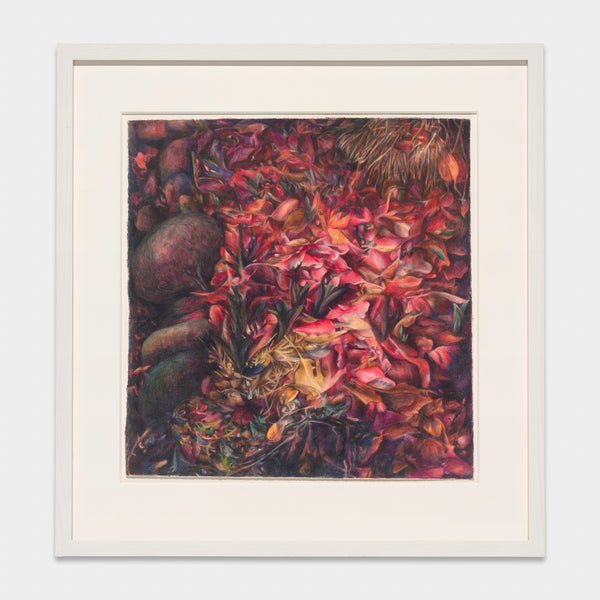 ARA HAO RED LEAVES
